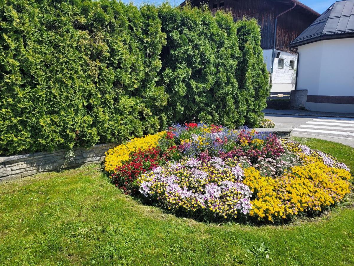 Ferienwohnung Schatz Breitenwang 외부 사진
